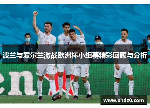 波兰与爱尔兰激战欧洲杯小组赛精彩回顾与分析